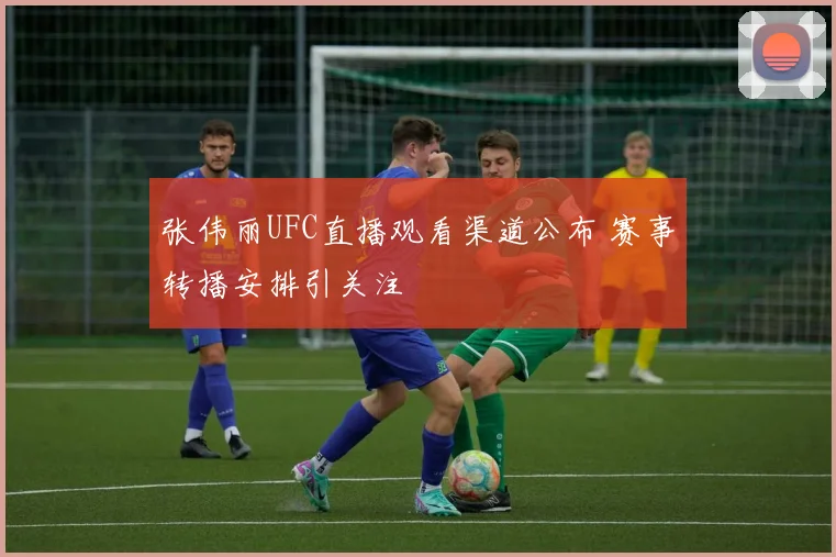 张伟丽UFC直播观看渠道公布 赛事转播安排引关注