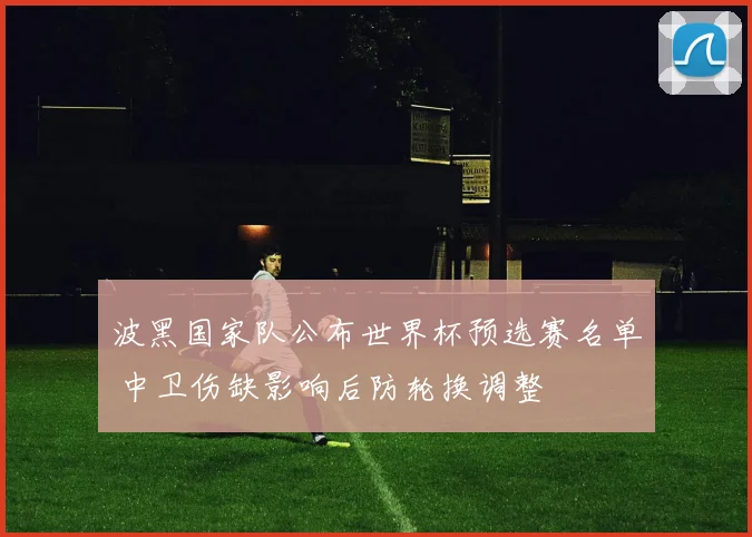 波黑国家队公布世界杯预选赛名单 中卫伤缺影响后防轮换调整