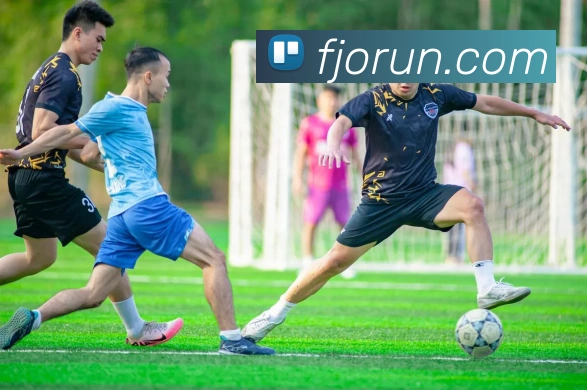 开云手机入口平台生态图